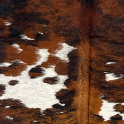 Closeup of this Colombian, Tricolor Cowhide, showing white with brown and black speckles, and large and small spots that have a reddish brown and black, brindle pattern (COTR1176)