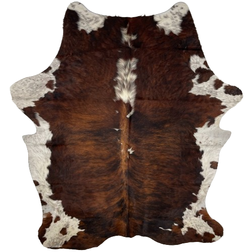 Large Colombian Tricolor Cowhide:  has a reddish brown and black, brindle pattern, two spots on the spine that are white with reddish brown and black speckles, and white with brown and black speckles on the belly, shanks, and neck - 7'8" x 5'7" (COTR1177)