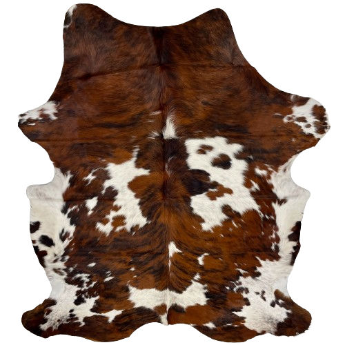 Large Colombian Tricolor Cowhide:  white with black speckles, and large and small spots that have a reddish brown and black, brindle pattern - 7'6" x 5'8" (COTR1179)