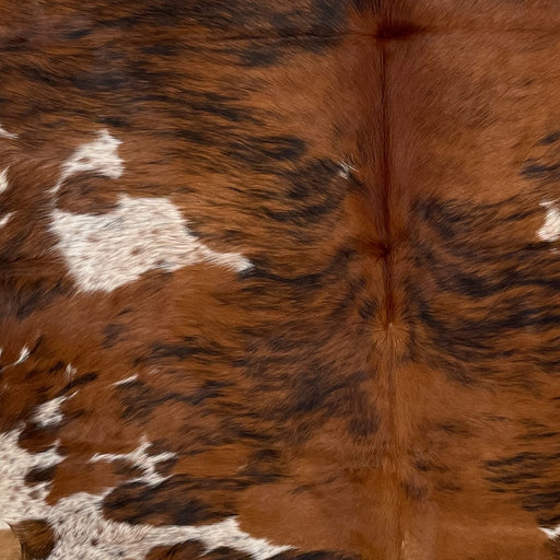 Closeup of this Large, Speckled, Colombian, Tricolor Cowhide, showing a brown and black, brindle pattern, and spots that are white with brown and black speckles (COTR1180)