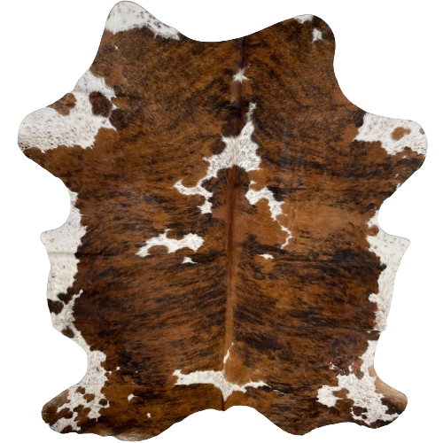 Large Speckled Colombian Tricolor Cowhide:  has a brown and black, brindle pattern, and spots that are white with brown and black speckles - 7'7" x 5'6" (COTR1181)