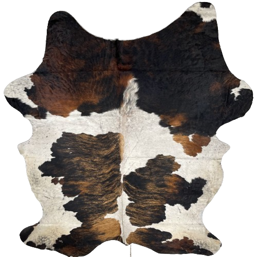 XXL Colombian Tricolor Cowhide:  off-white, with black speckles, large spots on the back that have a light brown and black, brindle pattern, and a mix of reddish brown and black on the shoulder - 8'6" x 6' (COTR1182)