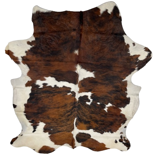 Colombian Tricolor Cowhide:  has large spots with a reddish brown and black, brindle pattern, with a large, white spot in the middle, and off-white on the belly, butt, and shanks - 7'4" x 5'9" (COTR1183)