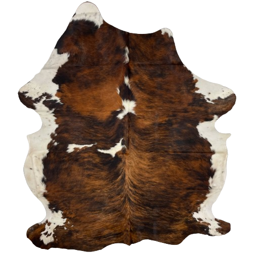 Large Colombian Tricolor Cowhide:  has a reddish brown and black, brindle pattern with a few small, white spots in the middle and white on the belly and part of the shanks - 7'10" x 5'11" (COTR1184)