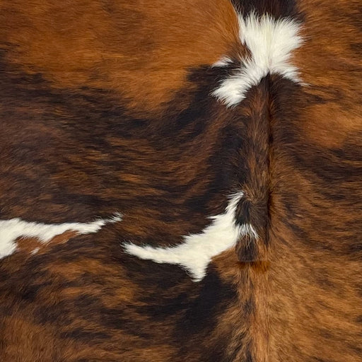 Closeup of this Large Colombian Tricolor Cowhide, showing a reddish brown and black, brindle pattern with a few small, white spots in the middle (COTR1184)