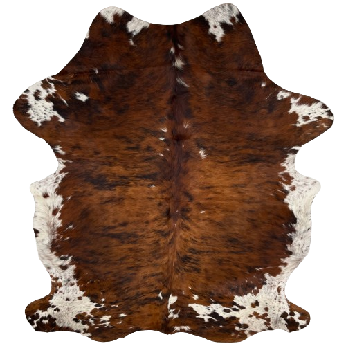 Large Colombian Tricolor Cowhide:  has a red brown and black, brindle pattern, with a few small, white spots on the back, and it has white, with black and red brown speckles and spots, on the belly, butt, and shanks - 7'7" x 5'8" (COTR1187)