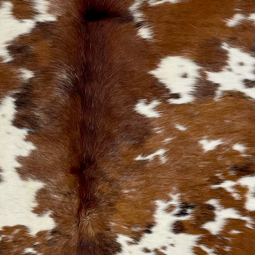 Closeup of this Large Colombian Tricolor Cowhide, showing white with reddish brown and black spots, and fine, white speckles down the middle (COTR1188)