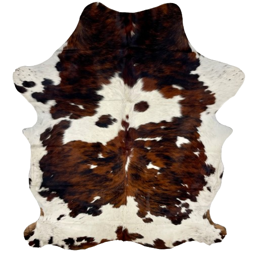 Large Colombian Tricolor Cowhide:  white with fine, black speckles, and large and small spots that have a red brown and black, brindle pattern - 7'8" x 5'6" (COTR1191)