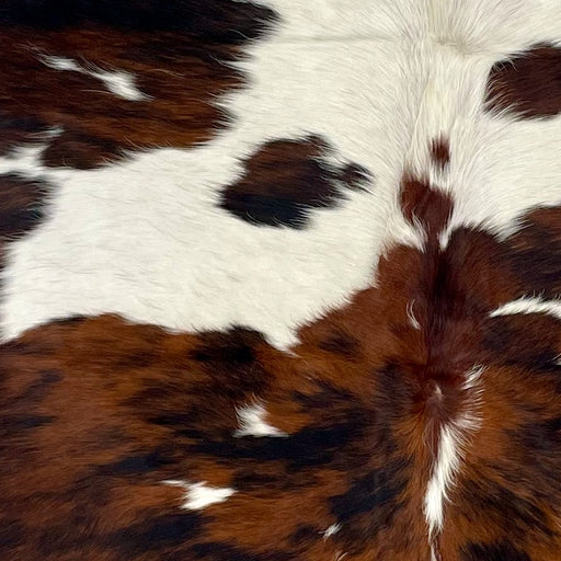 Closeup of this Large Colombian Tricolor Cowhide, showing white with fine, black speckles, and large and small spots that have a red brown and black, brindle pattern (COTR1191)