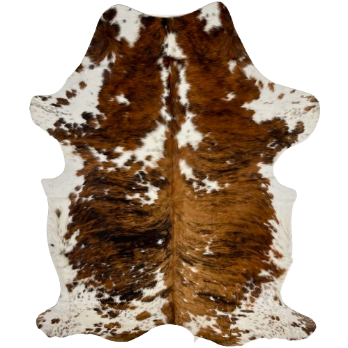 Large Colombian Tricolor Cowhide:  white with large and small spots that have a brown and black, brindle pattern, and faint, brown and black speckles - 7'10" x 5'3" (COTR1194)
