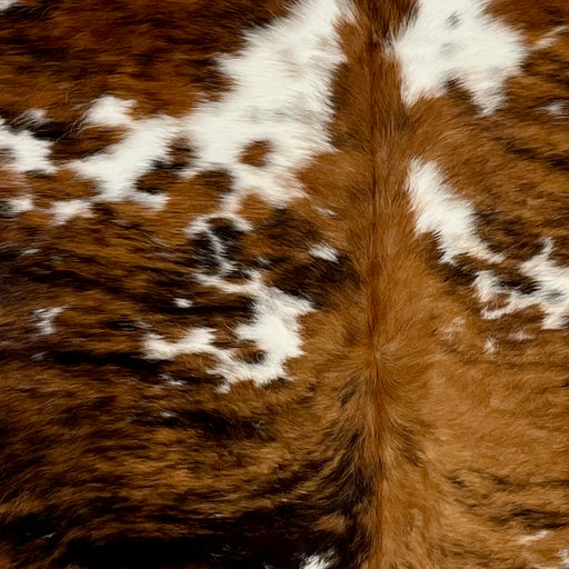 Closeup of this Large, Colombian, Tricolor Cowhide, showing white with large and small spots that have a brown and black, brindle pattern, and faint, brown and black speckles (COTR1194)
