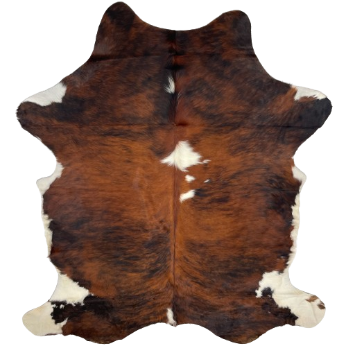 Colombian Tricolor Cowhide: has a red brown and black, brindle pattern, with a few white spots down the middle, and white and off-white on part of the belly and shanks - 7'1" x 5' (COTR1196)