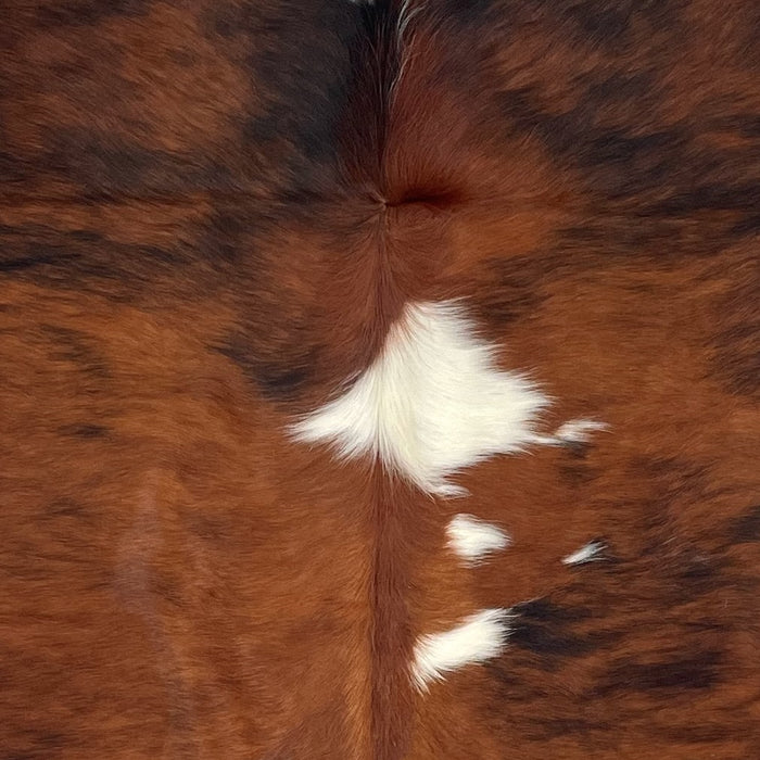 Closeup of this Colombian Tricolor Cowhide, showing a red brown and black, brindle pattern, with a few white spots down the middle (COTR1196)