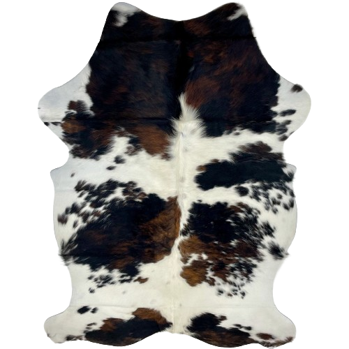 Colombian Tricolor Cowhide: white with small, black spots, and large spots that have a mix of black and brown - 6'11" x 4'6" (COTR1205)