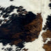 Closeup of this Colombian Tricolor Cowhide, showing white with small, black spots, and large spots that have a mix of black and brown  (COTR1205)