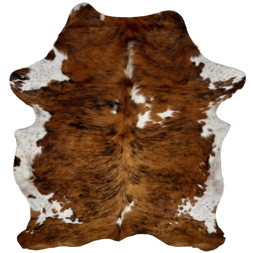 Colombian Tricolor Cowhide: brown with black, brindle markings, and a few small, white spots down the back, and white with brown speckles on the belly and part of the shanks - 6'4" x 5' (COTR1208)