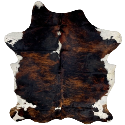 Colombian Dark Tricolor Cowhide: has a mix of black and dark reddish brown, with three small, white spots down the middle, and white, with black speckles, on the belly and shanks - 7'2" x 5'3" (COTR1209)