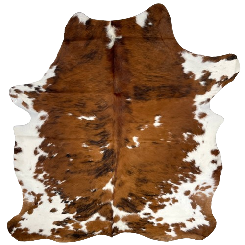 Colombian Tricolor Cowhide: brown with black, brindle markings, and small white spots on the back, and white, with brown spots, on part of the belly, butt, and shanks - 6'7" x 5'5" (COTR1210)