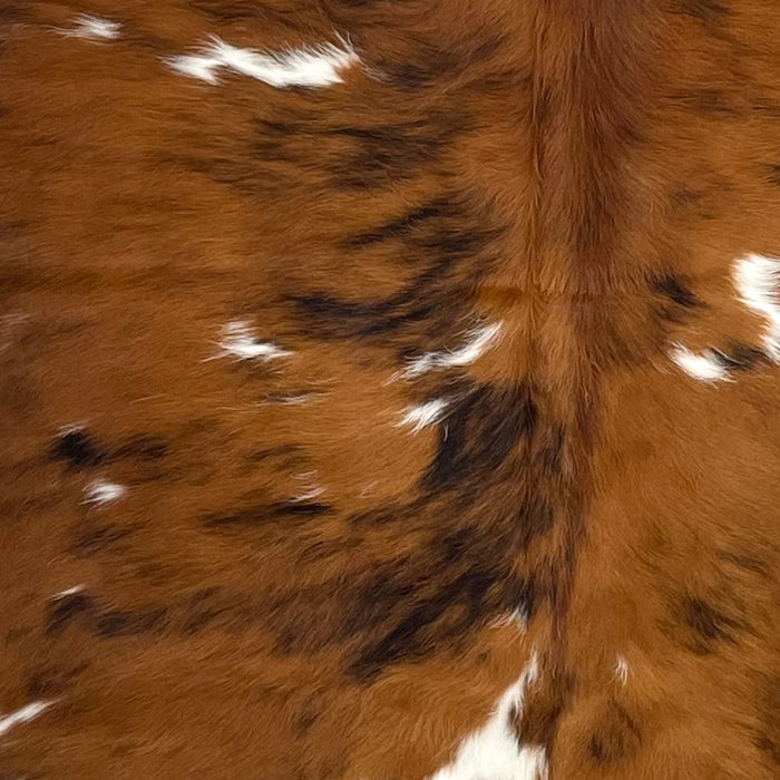 Closeup of this Colombian Tricolor Cowhide, showing brown with black, brindle markings, and small white spots on the back (COTR1210)