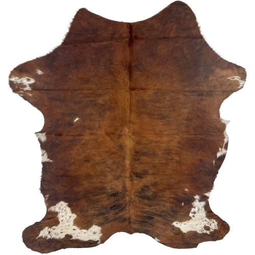 Colombian Tricolor Cowhide: has a mix of reddish brown and black, and off-white spots, with reddish brown speckles, on the shanks, butt, and belly - 6'9" x 4'9" (COTR1213)