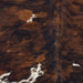 Closeup of this Colombian Tricolor Cowhide, showing a mix of black and brown, and a few white spots that have brown and black speckles (COTR1217)