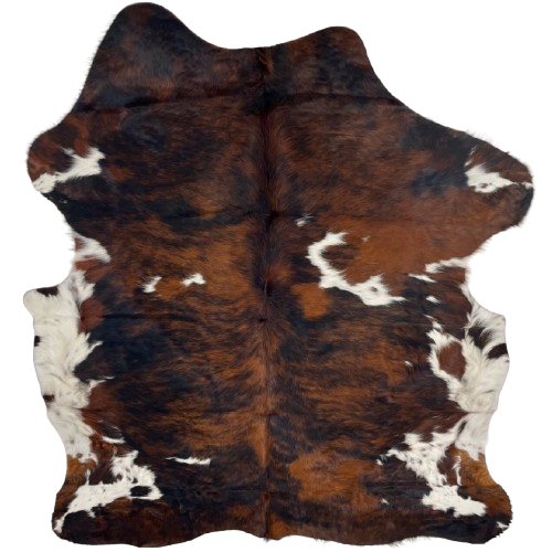 Colombian Tricolor Cowhide: has a reddish brown and black, brindle pattern, and white spots that have brown and black speckles and spots on the belly, shanks, and back - 6'10" x 5'7" (COTR1219)