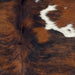 Closeup of this Colombian Tricolor Cowhide, showing a reddish brown and black, brindle pattern, and white spots that have brown and black speckles and spots on the back  (COTR1219)