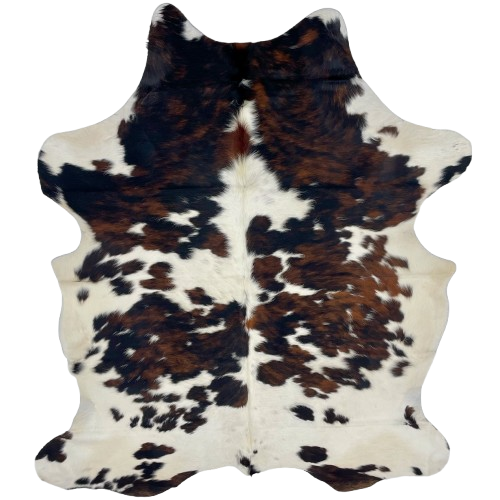 Colombian Tricolor Cowhide: white with large and small spots that have a mix of black and brown, and it has off-white on the belly - 6'11" x 4'11" (COTR1220)