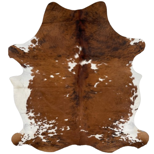 Colombian Tricolor Cowhide: mostly brown, with some black, brindle markings, and it has white spots on the back and white on the belly - 6'10" x 5' (COTR1222)