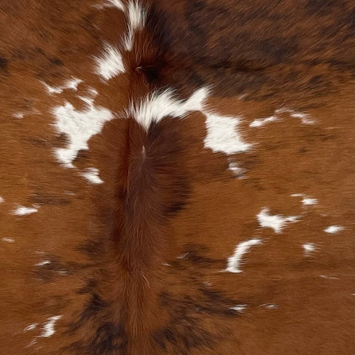 Closeup of this Colombian Tricolor Cowhide, showing mostly brown, with some black, brindle markings, and  white spots on the back (COTR1222)