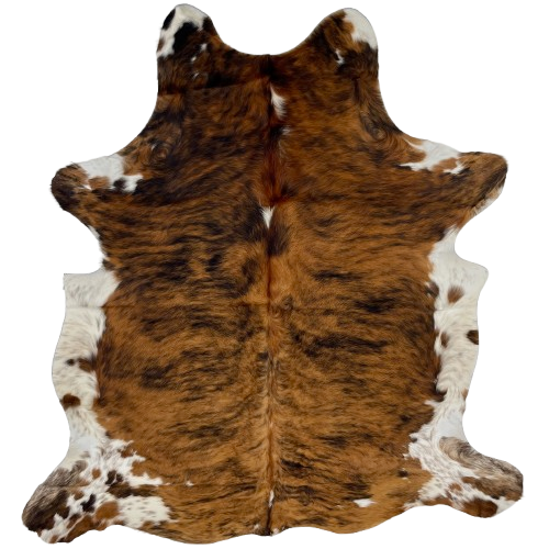 Colombian Tricolor Cowhide: has a brown and black, brindle pattern, with a few small, white spots down the middle, and white with black and brown speckles and spots on the belly and shanks - 6'9" x 5' (COTR1223)