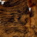 Closeup of this Colombian Tricolor Cowhide, showing a brown and black, brindle pattern, with a few small, white spots down the middle (COTR1223)