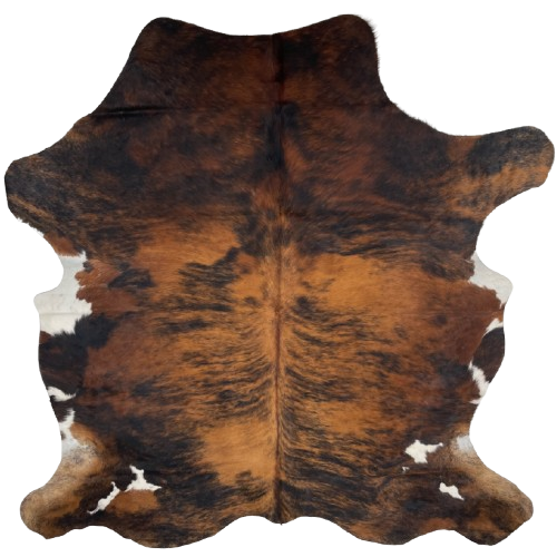 Colombian Tricolor Cowhide: has a brown and black, brindle pattern, with white spots on the belly and near the hind shanks - 6'11" x 5'6" (COTR1224)