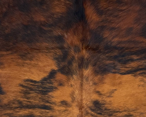 Closeup of this Colombian Tricolor Cowhide, showing a brown and black, brindle pattern (COTR1224)