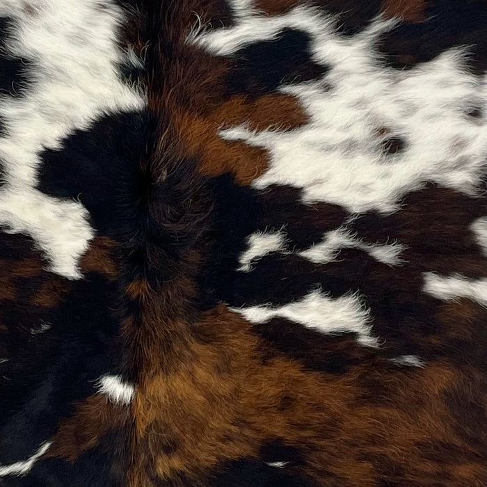 Closeup of this Colombian Tricolor Cowhide, showing white with black speckles, and large and small spots that have a mix of black and brown (COTR1225)