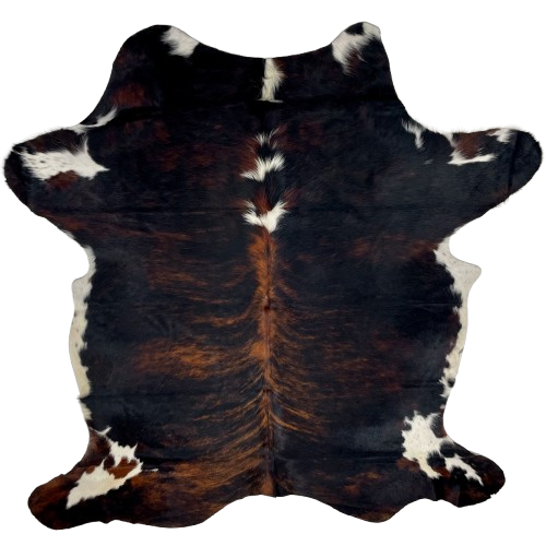 Colombian Dark Tricolor Cowhide: has a black and reddish brown, brindle pattern, with four white spots down the middle of the shoulder, and white spots on the belly and shanks - 7' x 4'11" (COTR1228)