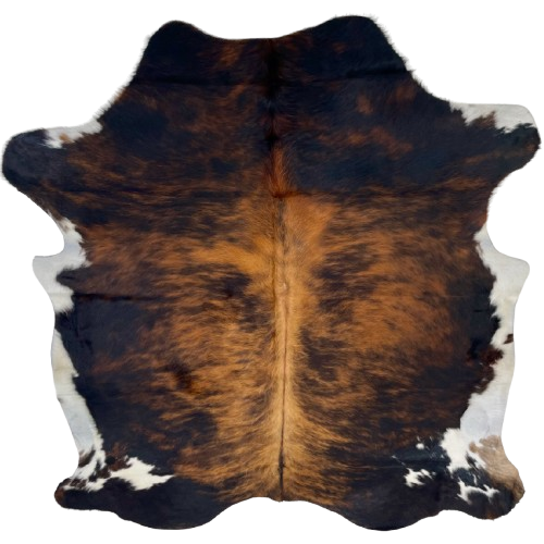 Colombian Tricolor Cowhide: has a golden brown and black, brindle pattern, with white on the belly and part of the shanks - 6'5" x 5'5" (COTR1232)