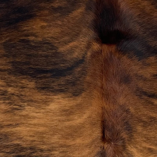 Closeup of this Colombian Tricolor Cowhide, showing a brown and black, brindle pattern, and reddish brown down the spine  (COTR1235)