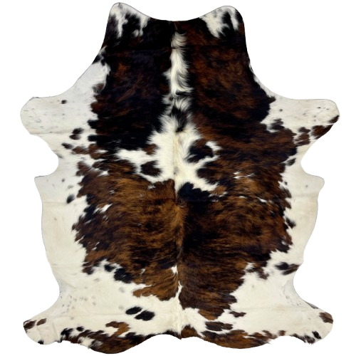 Colombian Tricolor Cowhide: white with faint, black speckles, and large and small spots that have a brown and black, brindle pattern, and it has longer hair down the spine - 7' x 4'11" (COTR1236)