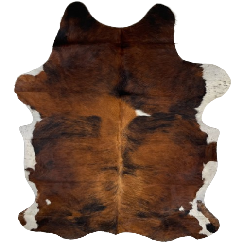 Colombian Tricolor Cowhide: has a golden brown, dark reddish brown, and black, brindle pattern, with a small, white spot on the back, and white with black speckles on the belly and part of the shanks - 6'8" x 5'1" (COTR1239)