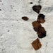 Closeup of this Colombian Tricolor Cowhide, showing a mix of white and off-white, with black and brown speckles, and spots down the middle that have a mix of brown and black (COTR1240)