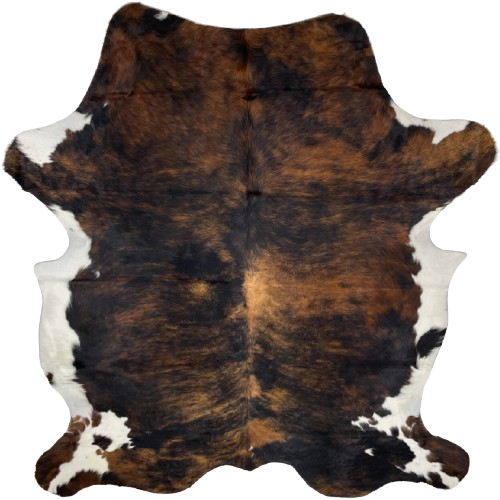 Colombian Dark Tricolor Cowhide: has a black and brown, brindle pattern, with white on part of the belly and shanks - 7'5" x 5'9" (COTR1243)