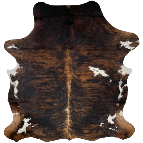 Colombian Tricolor Cowhide: has a black and brown, brindle pattern, with a small, white spot on the right side of the back, and white spots on the belly and shanks - 6'8" x 5'3" (COTR1245)