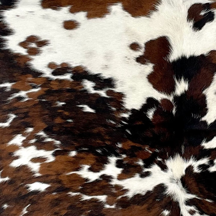 Closeup of this Colombian Tricolor Cowhide, showing white with faint, black speckles, and large and small spots that have a mix of brown and black (COTR1246)