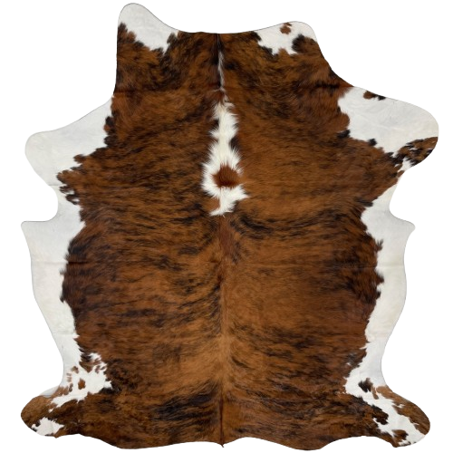 Colombian Tricolor Cowhide: has a reddish brown and black, brindle pattern, with white down the middle of the shoulder, and on the belly and part of the shanks - 7' x 5'3" (COTR1247)