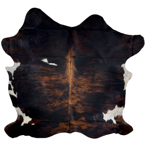 Colombian Dark Tricolor Cowhide: black with red brown, brindle markings, with one small white spot on the left side of the shoulder, and white, with black speckles, on part of the belly - 7'2" x 6' (COTR1253)