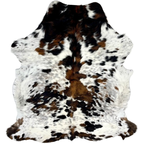 Colombian Tricolor Speckled Cowhide, long hair: has long hair that is white, with brown and black spots, and faint, brown and black speckles - 6'1" x 4'8" (COTR1257)