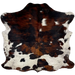 Colombian Tricolor Cowhide: white with black speckles, and large and small spots that have a mix of black and reddish brown, and it has longer hair down the spine - 5'7" x 5'1" (COTR1259)