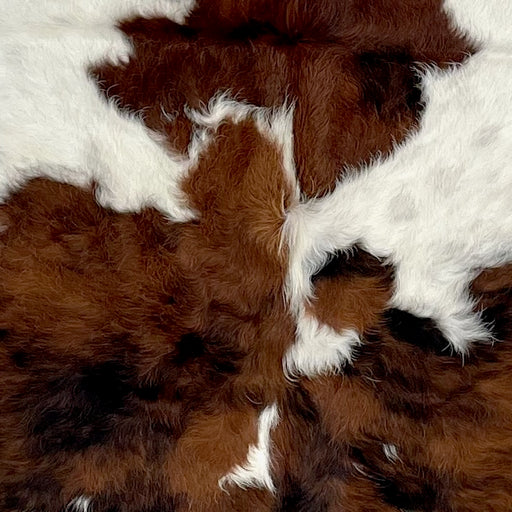 Closeup of this Colombian Tricolor Cowhide, showing white with faint, black speckles, and large and small spots that have a mix of reddish brown and black  (COTR1260)