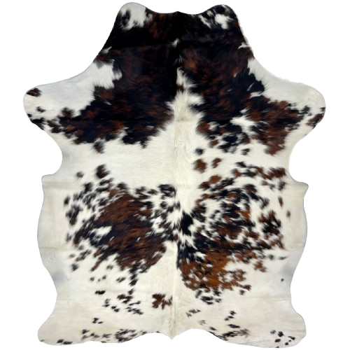 Colombian Tricolor Cowhide: white with large and small spots that have a mix of brown and black  - 6'4" x 4'10" (COTR1262)